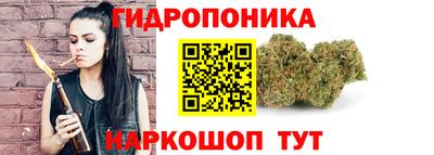 бошки Гусь-Хрустальный