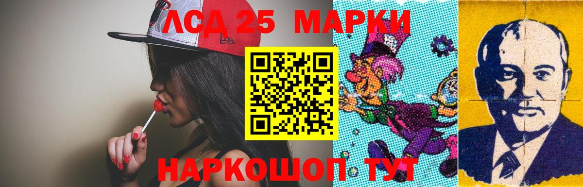 kraken как зайти  Сердобск  ЛСД экстази кислота  ЛСД экстази кислота  Лсд 25 экстази 