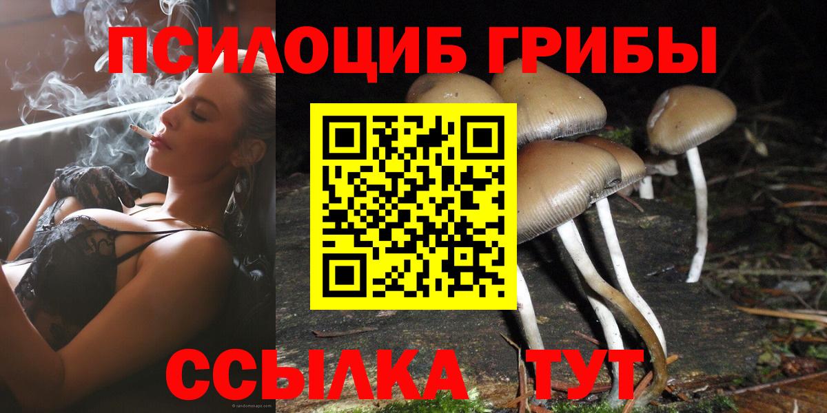 Псилоцибиновые грибы Psilocybine cubensis  Сердобск 