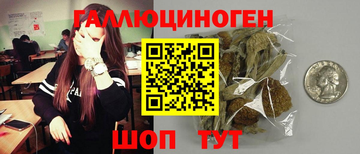 Псилоцибиновые грибы Psilocybe Сердобск