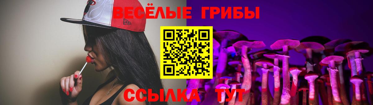 Галлюциногенные грибы GOLDEN TEACHER  Вход с VPN  Галлюциногенные грибы мицелий  Сердобск 